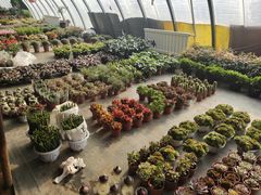 -包头市畅兴现代农业园