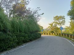-羊山湖公园