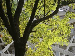 -时光花园(白鹭洲店)