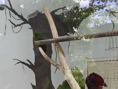 -长春农博园