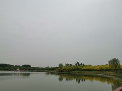 -东郊湿地公园