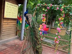 -石家庄市动物园