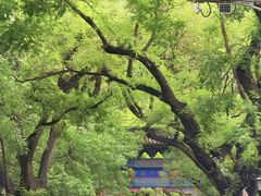 -北京国子监胡同