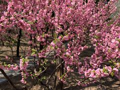 -长辛店二七公园