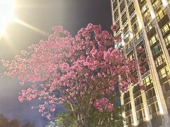 -徐记海鲜(南油永新汇店)