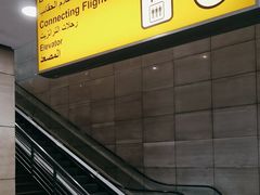 -开罗国际机场