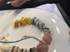-BLACKSWAN黑天鹅(环球店)