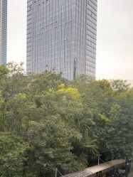 -上海首尔丽格医疗美容医院