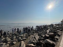 -深圳湾公园(南山区)