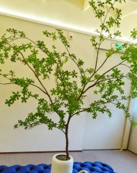 -TIME SPA科技美肤机构