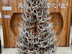 -北京鹿世界主题园