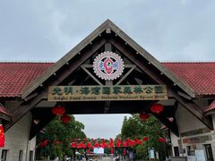 -上海海湾国家森林公园