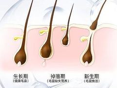 -中国农业大学(西校区)