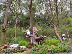 -广州市白云山风景名胜区