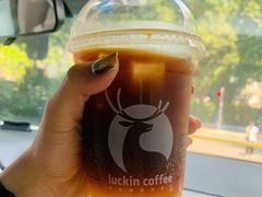 -瑞幸咖啡(广东外经贸大厦店)