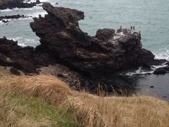 -龙头岩(Dragon Head Rock)