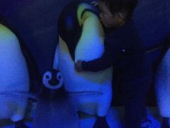 -成都浩海立方海洋公园