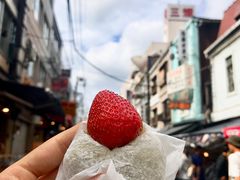 -台场海滨公园船码头