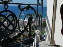 -内格雷斯科酒店