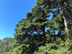 -黄山风景区