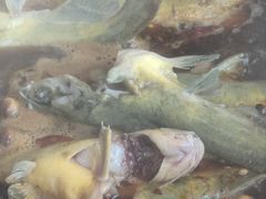 -小赖鱼馆·铁锅炖(官厅水库店)