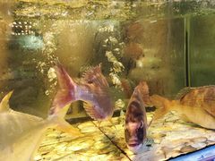 -巽寮印象美食部落餐厅·海鲜·地方特色菜(惠州体验店)