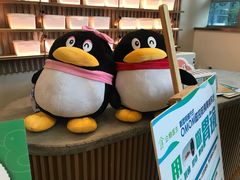 -中间带医疗(成都旗舰店)