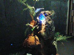 -泰之源足浴会所(玉环店)