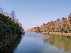 -上海海湾国家森林公园