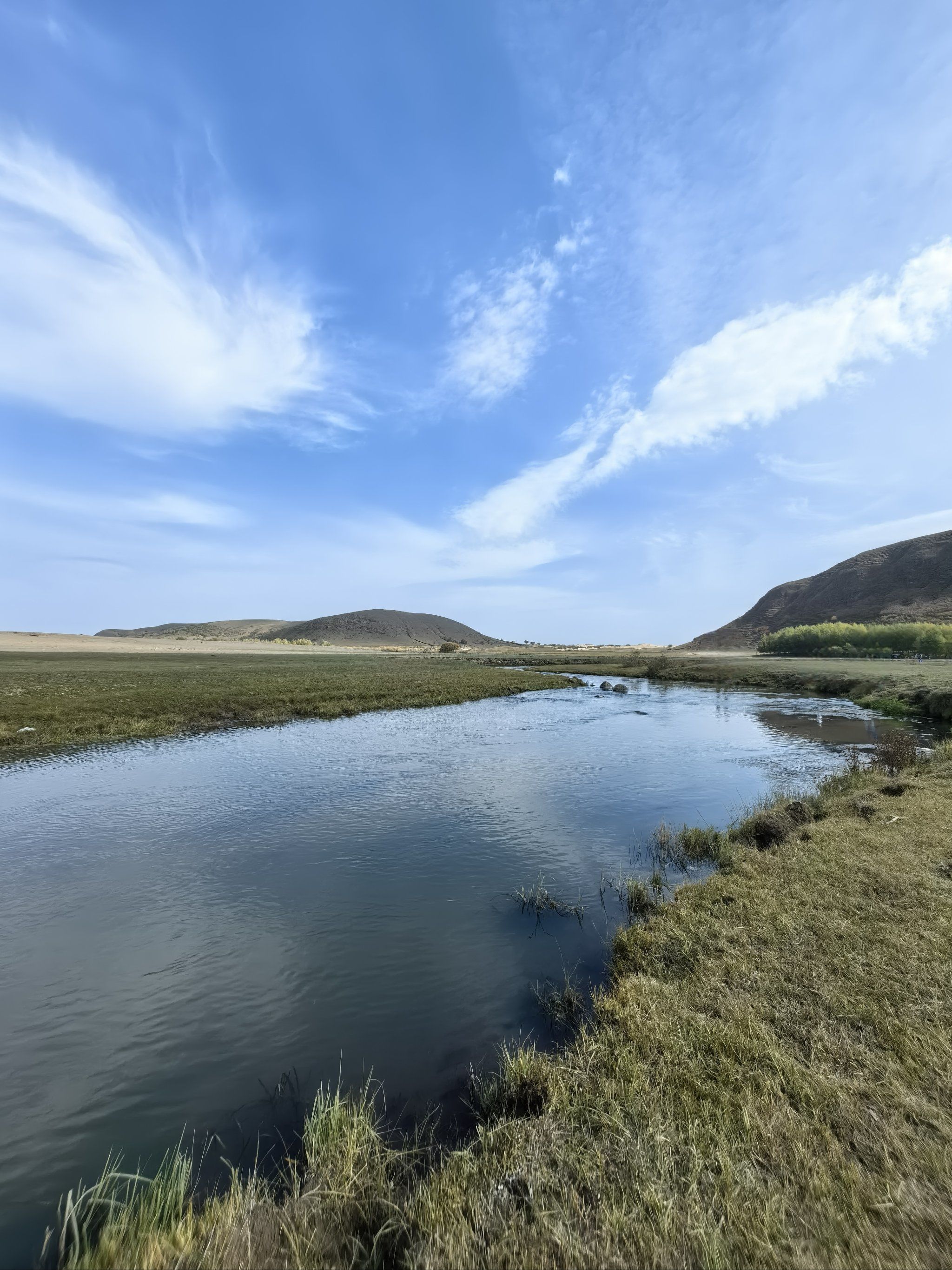 我在草原躺一天 #分享治愈系风景 #美丽的草原风光无限 #草原笔暑