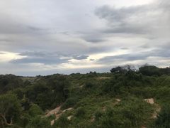-企鹅岛