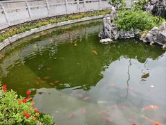 -宝通禅寺