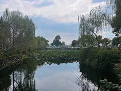 -无锡蠡湖国家湿地公园-蠡园