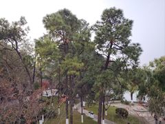 -九华山公园