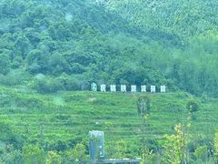 -虎啸峡漂流