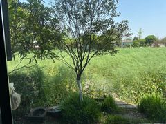 -洪湖家庭农场·团建·露营·会议