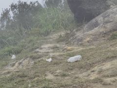 -梧桐山风景名胜区