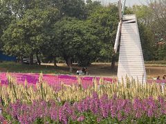 -松山湖梦幻百花洲