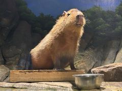 -郑州海洋馆