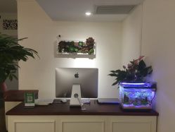 -谜秀专业半永久纹眉纹绣美瞳线洗眉