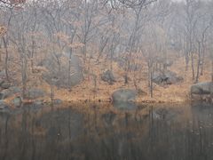 -鲁山国家森林公园