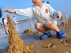 -日照海滨国家森林公园