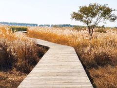 -野鸭湖国家湿地公园