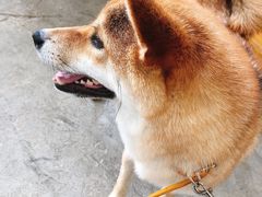 -隹木咖啡馆(宝龙广场店)