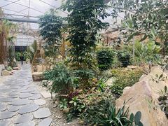 -桉树林A coffee 森林餐厅(三圣乡店)