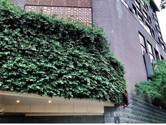 -台北北投丽禧温泉酒店