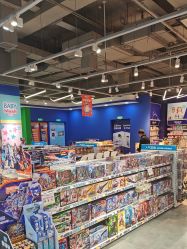 -玩具反斗城(北京芳圆里店)