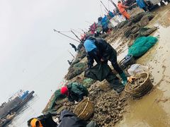 -海滨假日渔家海鲜