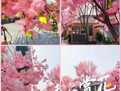 -首开·龙湖成都西宸天街
