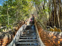 -西双版纳原始森林公园